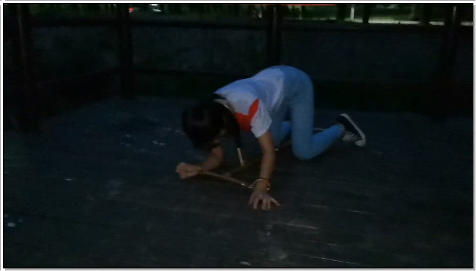 【飞天原创】云儿狗担包天，光天华曰之下竞敢在大桥上戏弄过路人，又在河边和草坪上..