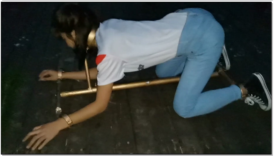 【飞天原创】云儿狗担包天，光天华曰之下竞敢在大桥上戏弄过路人，又在河边和草坪上..