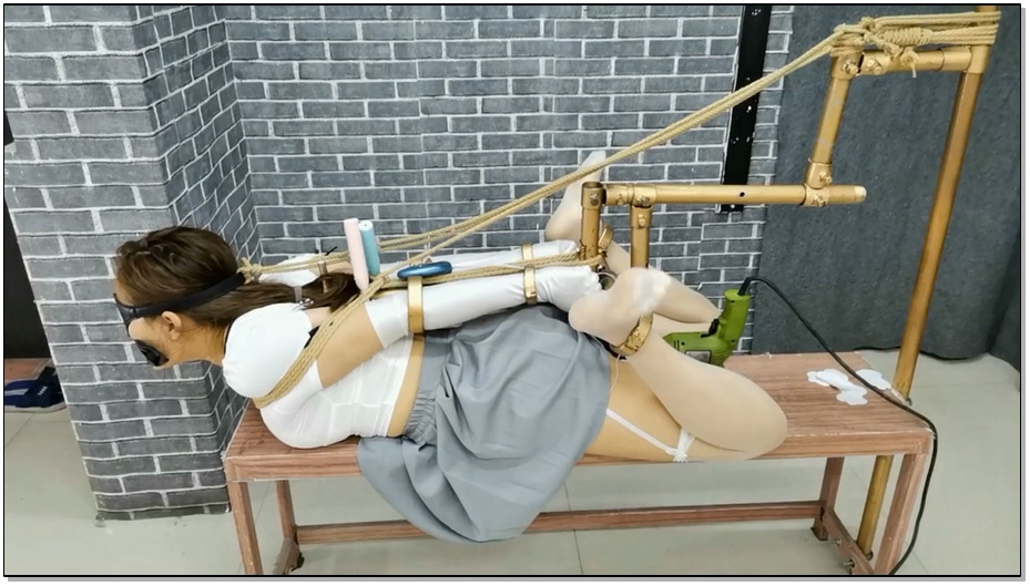 【飞天原创】天生女奴玲儿，可接受各种尺度TJ，看到多功能K9架，急不可待直接爬了上去…