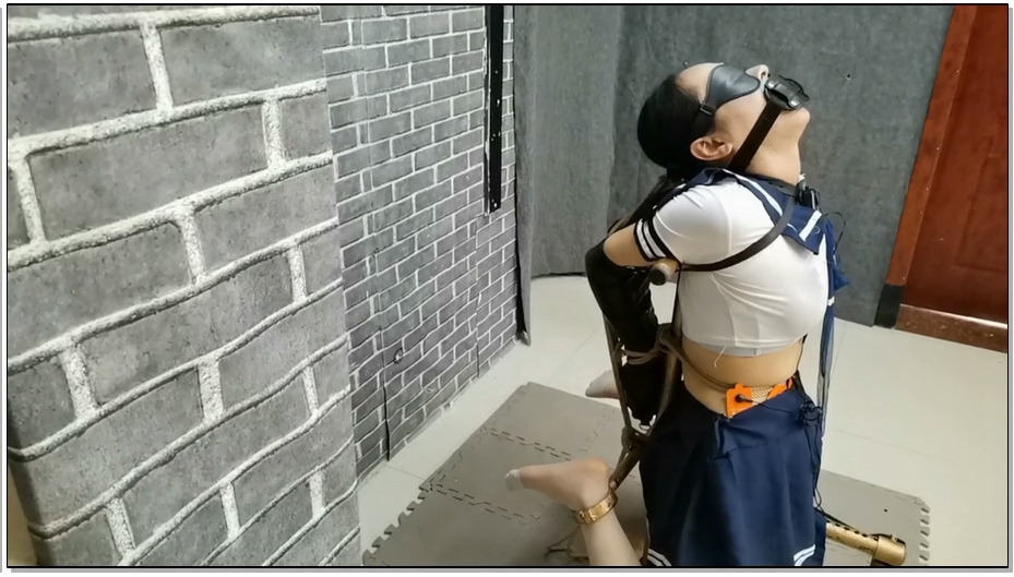 【飞天原创】一种让犬奴柔柔永远留下YIN影一种K9禁锢方式，加上玩具伺侯，爽的好似上…