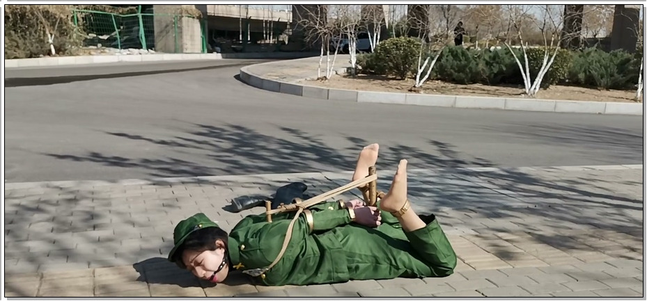 【飞天原创】云儿终于上了大热门，云儿秒变杂牌军光杆司令官，K9架放置，紧缚树杆上任…