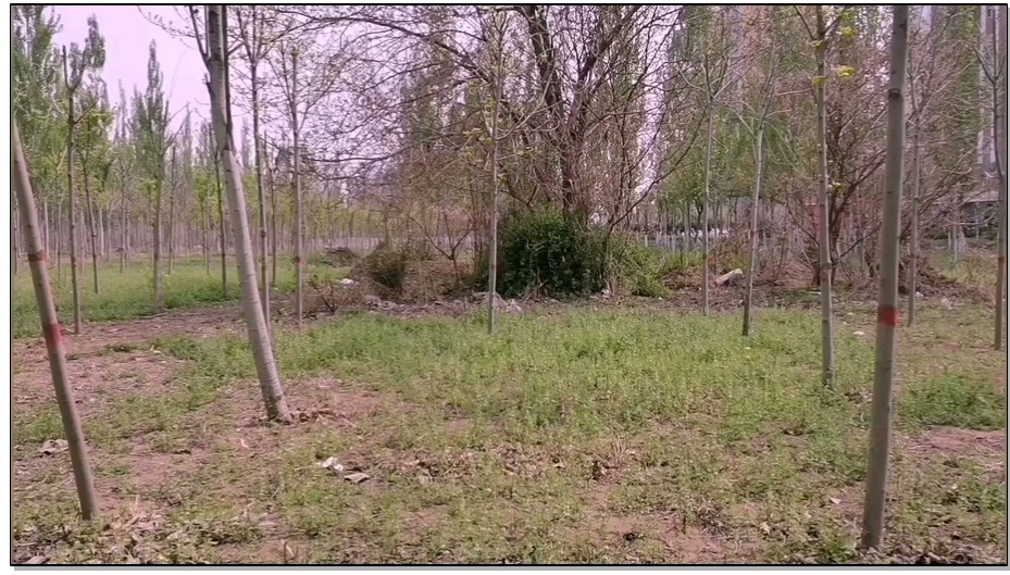 【飞天原创】柔柔向后弯腰K9架紧固,强行放置TJ，经两天紧张拍摄完美收官,也把柔柔奴搞…