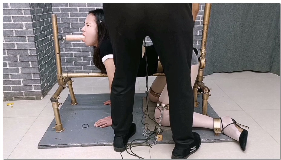 【飞天原创】多功能新型k9架把柔柔奴禁锢，钢圈卡住腰部，钢圈铁链紧固大腿，一轰而上..