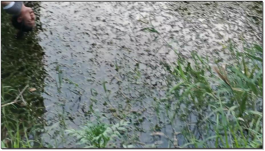 【飞天原创】云儿越玩越野,去小树林偷偷去约会，被主人发现,不客气地惩罚各种吊绑，倒…