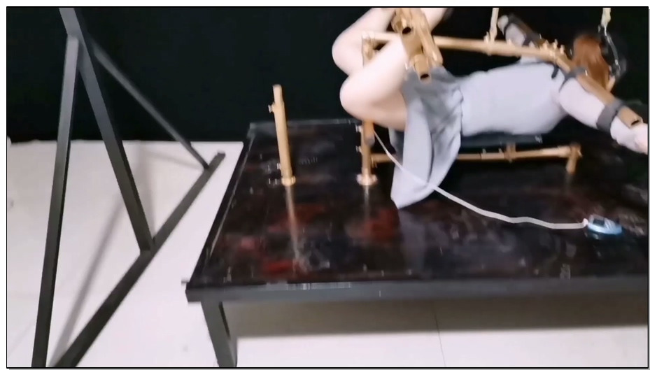 【飞天原创】为新奴梦涵精心设计一款多功能K9架,被禁锢上去后,强制电击、转动杠杆