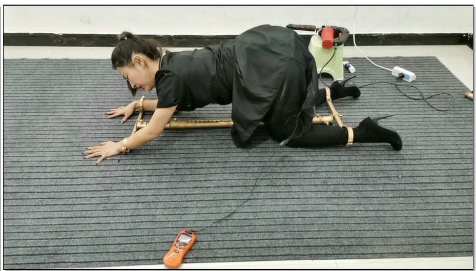 【飞天原创】雅思被袭击,强行禁锢在k9架跪爬器上,电击、滴腊、G勾、p击、一下子爽的乐