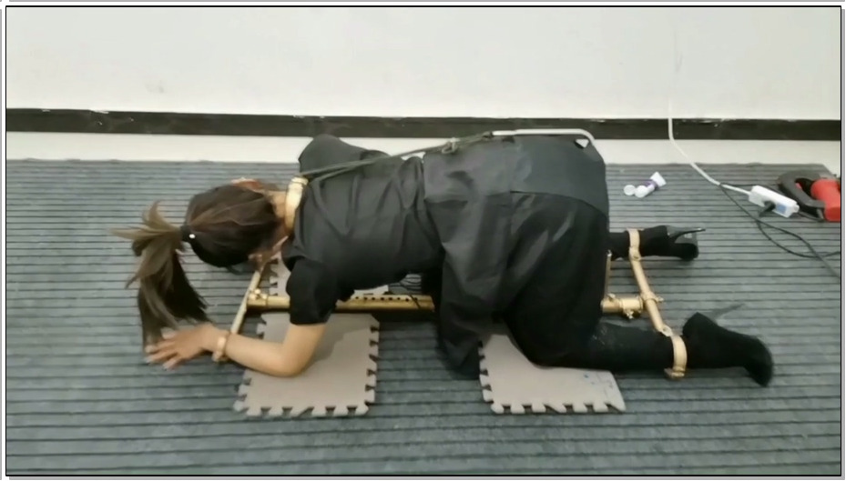 【飞天原创】雅思被袭击,强行禁锢在k9架跪爬器上,电击、滴腊、G勾、p击、一下子爽的乐