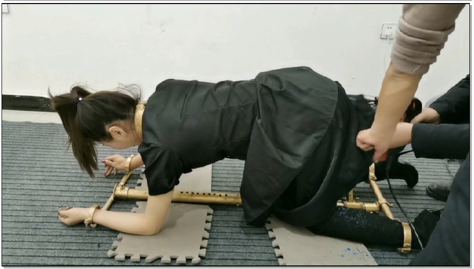 【飞天原创】雅思被袭击,强行禁锢在k9架跪爬器上,电击、滴腊、G勾、p击、一下子爽的乐