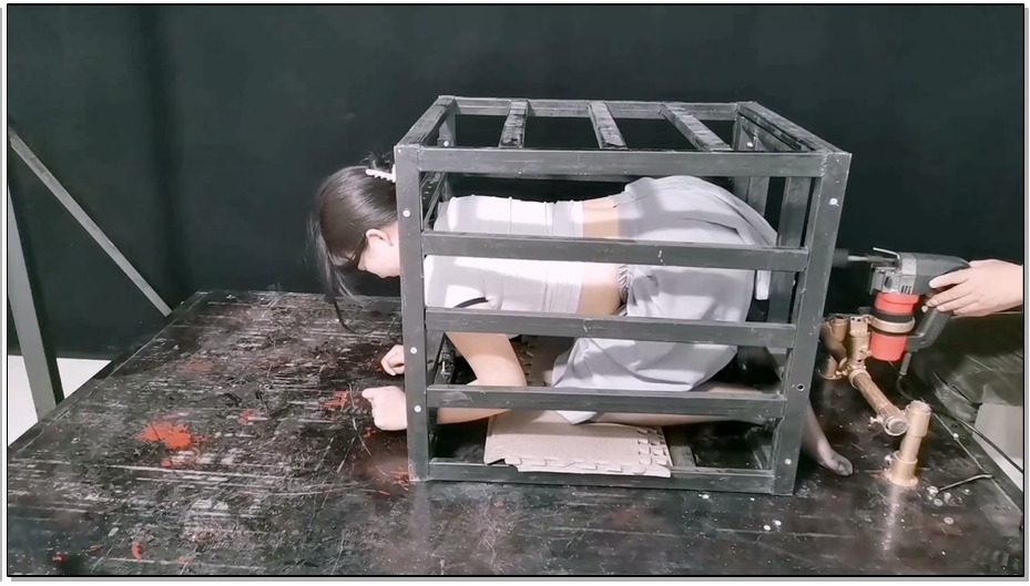 【飞天原创】玉仙儿不好好上学,去小树林玩傻,被蒙面人袭击,直接控制在袖珍铁笼里