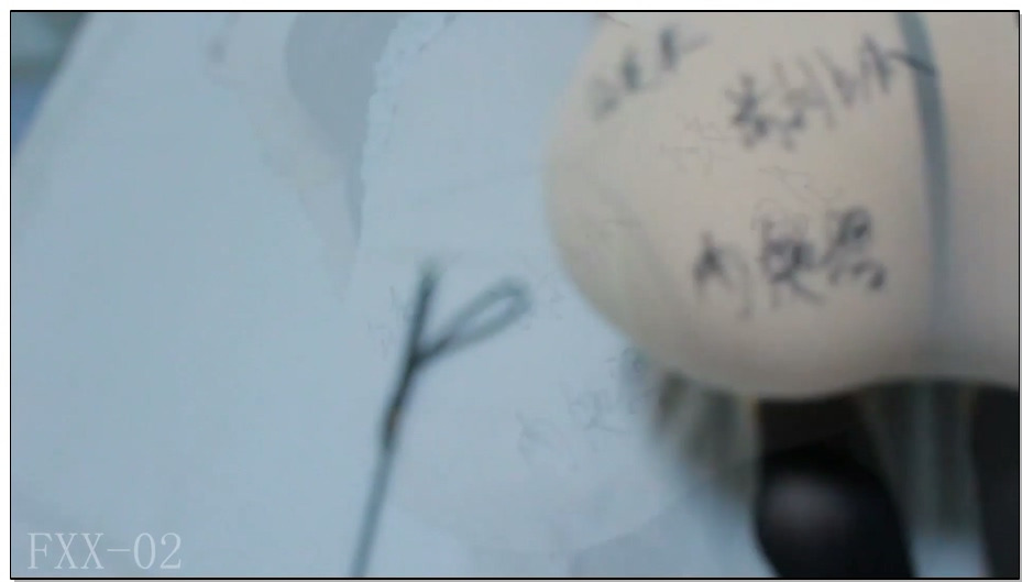 【FXX】凡小晓化身可爱女仆惨被玩弄，没钱买羞耻袜咱自己画，小样儿~训狗鞭伺候（FXX002）