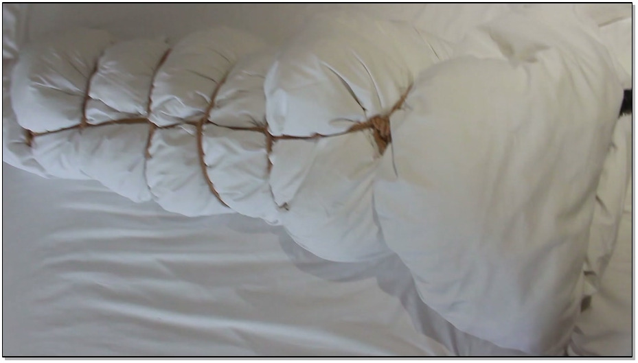 【FXX】定时调教是一名优秀m的必修课，洛丽塔双马尾白丝小萝莉，羞耻感十足，冲上云霄…