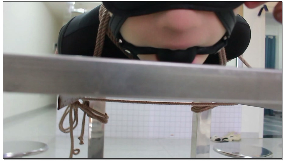 【FXX】不曾忘记的青春 最后标注一次凡小晓，告别青春的学堂，请原谅我的不辞而别