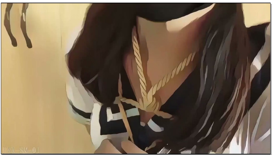 【FXX】动漫版合集-01 此系列为老片动漫版合集