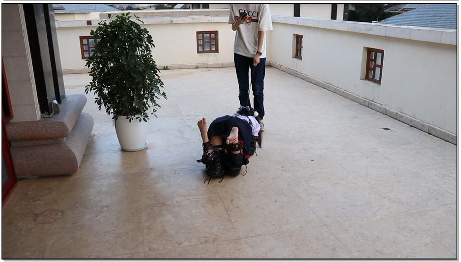 【咕咕精】茶茶户外人形犬K9初体验