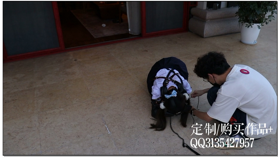 【咕咕精】茶茶户外人形犬K9初体验