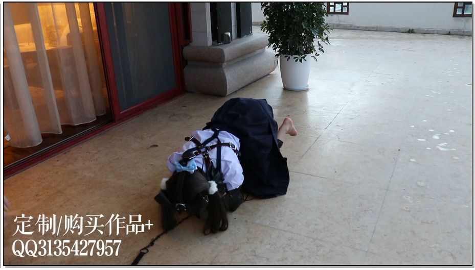 【咕咕精】茶茶户外人形犬K9初体验