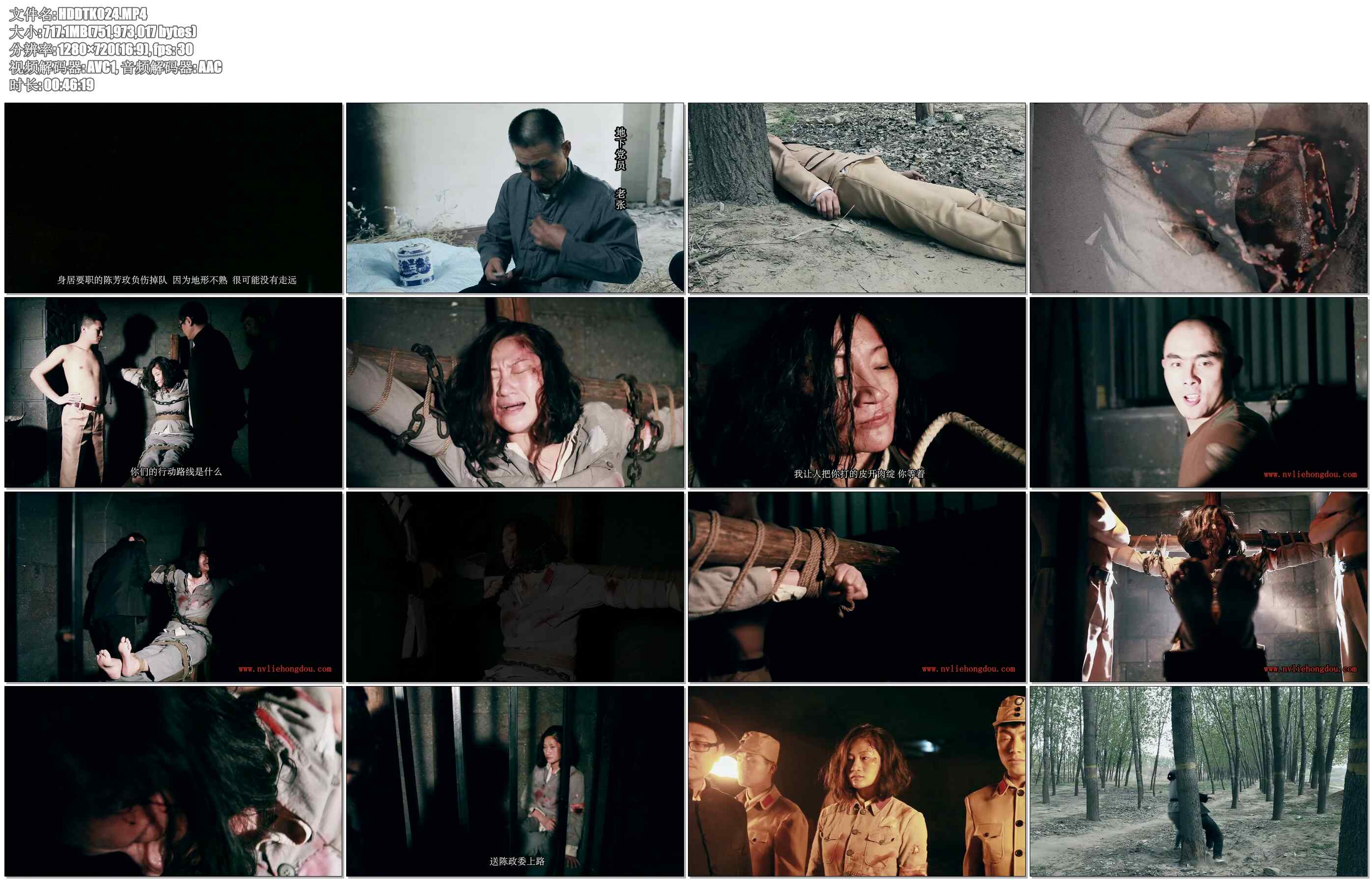 【红豆的天空】映山红