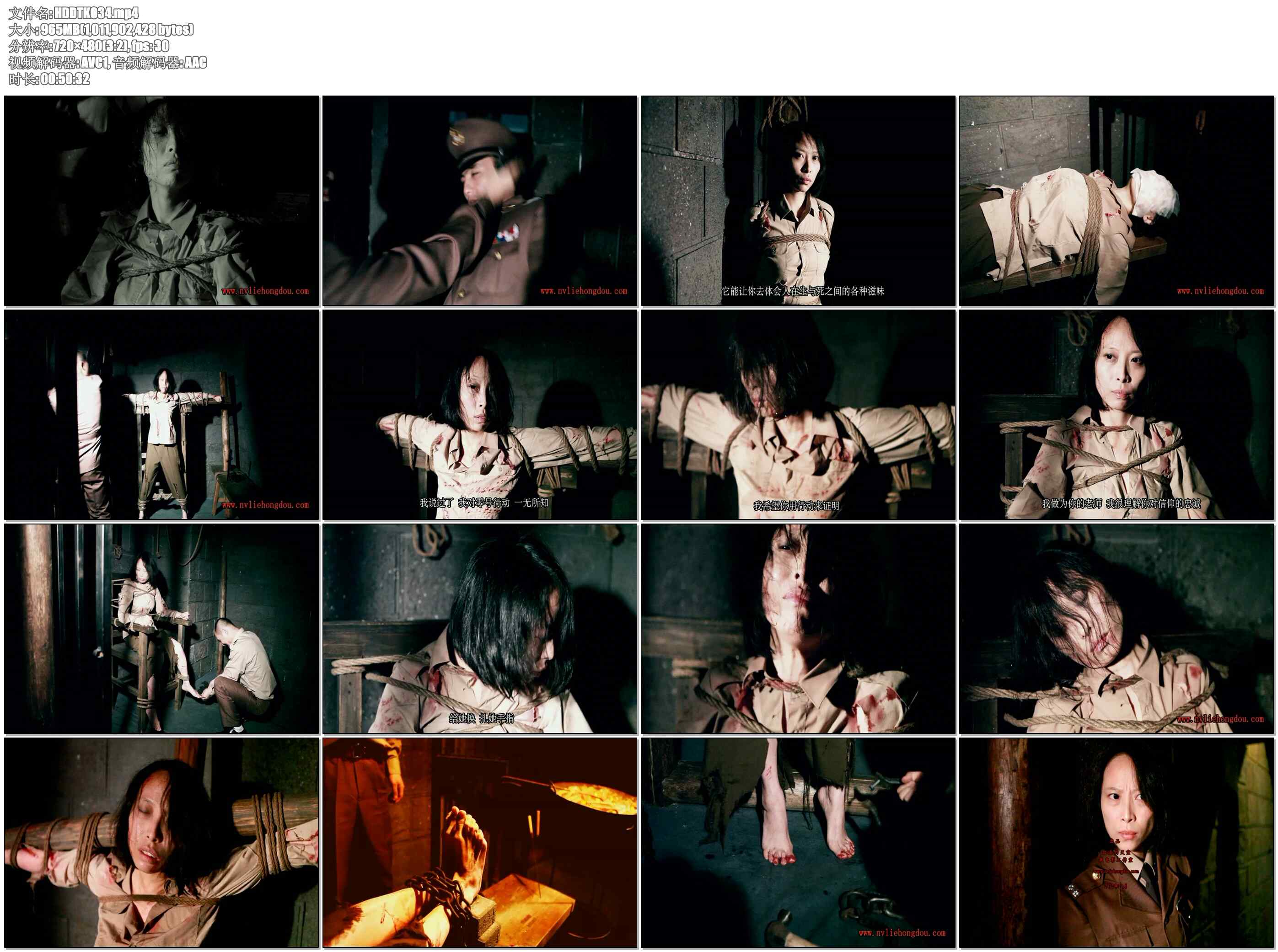 【红豆的天空】零号行动