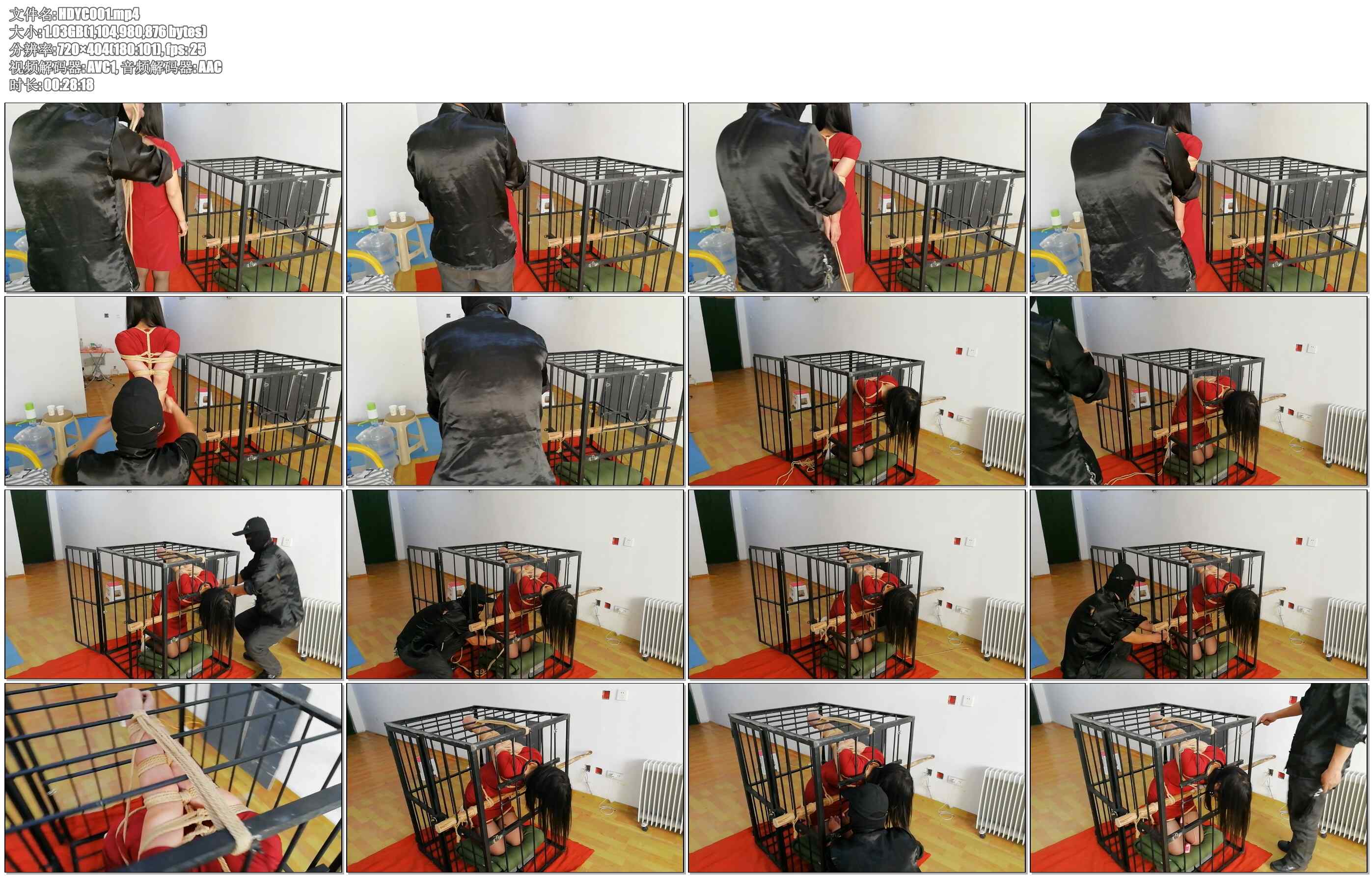 【HD原创】2019囚笼里的特殊TJ,真实、刺激….