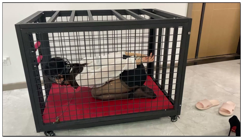 【涵涵特辑】K9狗笼调教 开口器+流口水+镣铐+铁链固定+黑丝+丁字裤+SP