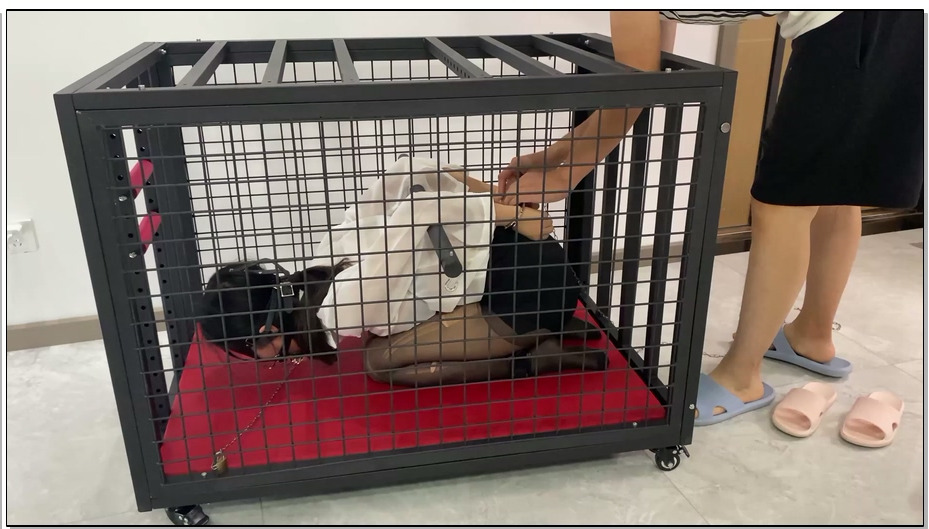 【涵涵特辑】K9狗笼调教 开口器+流口水+镣铐+铁链固定+黑丝+丁字裤+SP