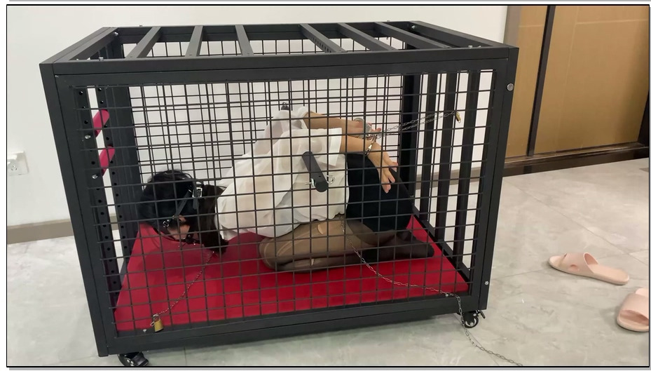 【涵涵特辑】K9狗笼调教 开口器+流口水+镣铐+铁链固定+黑丝+丁字裤+SP