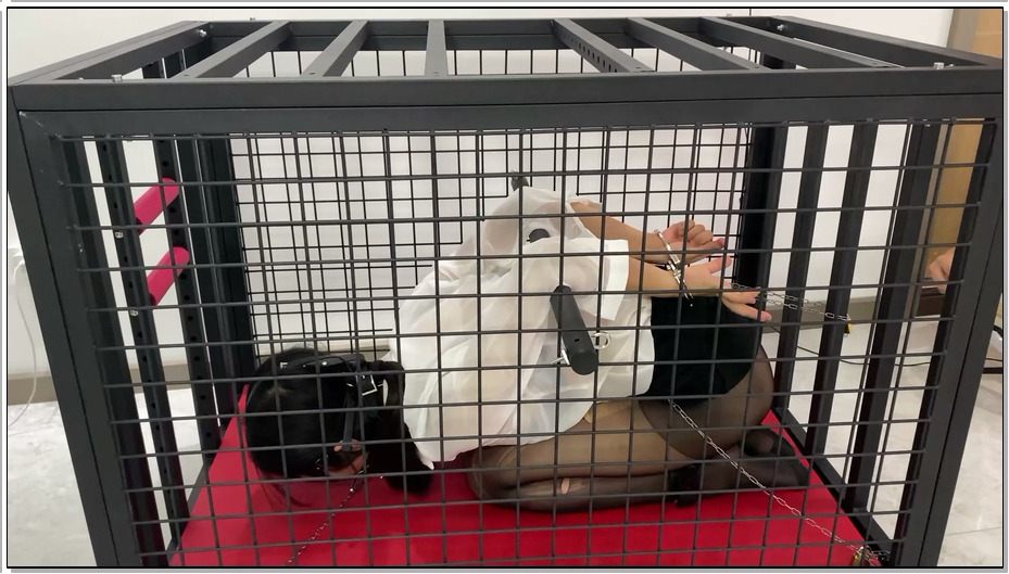 【涵涵特辑】K9狗笼调教 开口器+流口水+镣铐+铁链固定+黑丝+丁字裤+SP