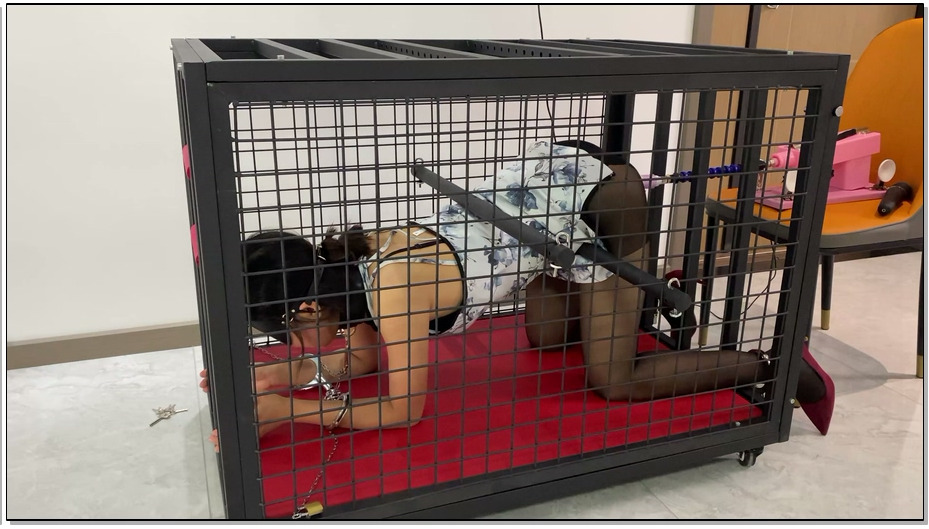 【涵涵特辑】旗袍黑丝 K9狗笼固定 PAOJIGC