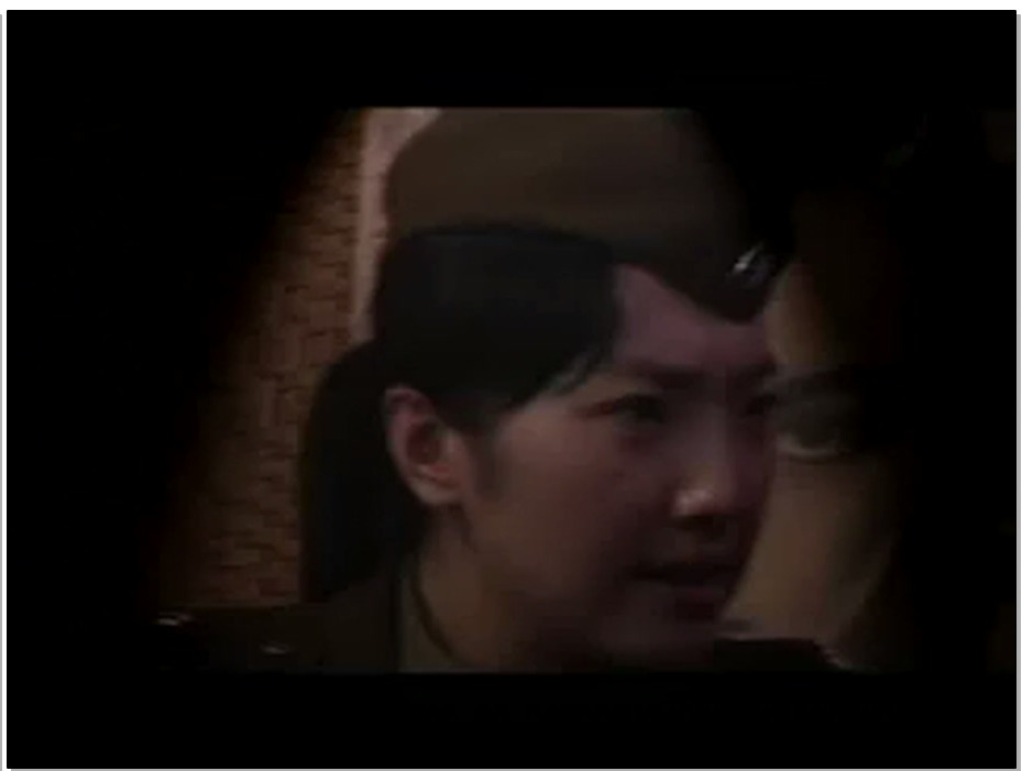 【怀旧影苑】觉醒-清灵慕蓉轩