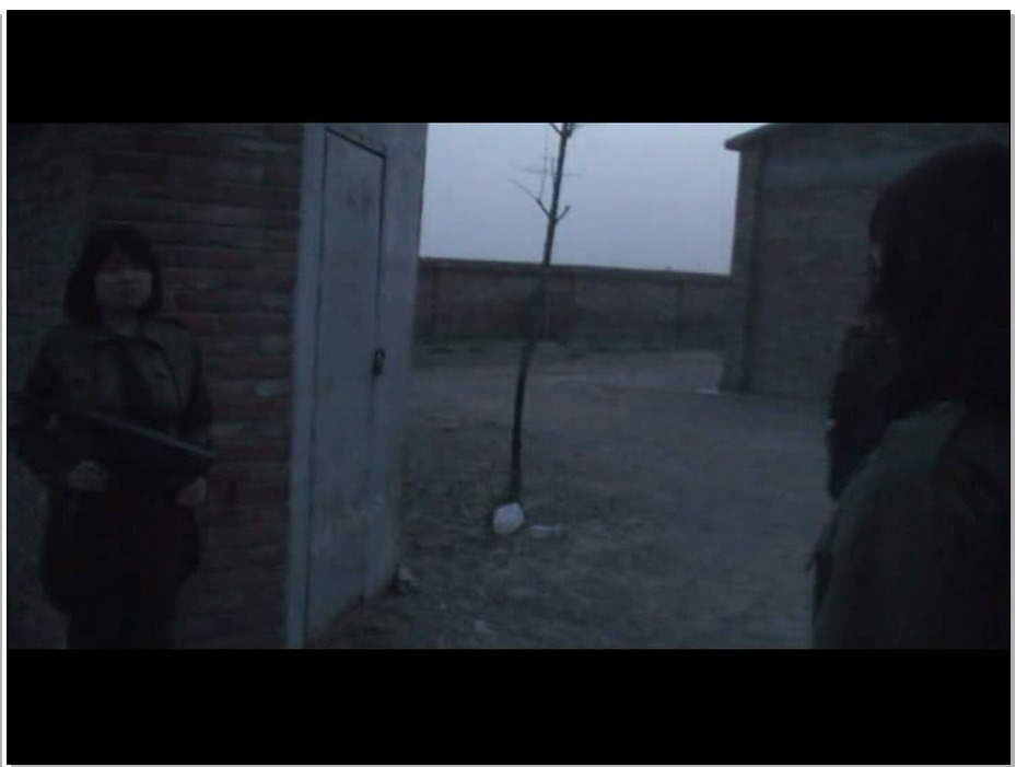 【怀旧影苑】喋血派之喋血联络站 – 小雪 艺琳 翱翔 飘零