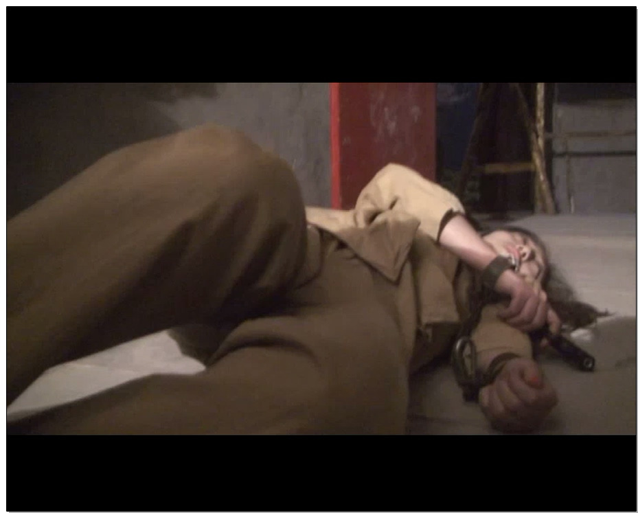 【怀旧影苑】喋血派之特别通行证－艺琳翱翔 飘零