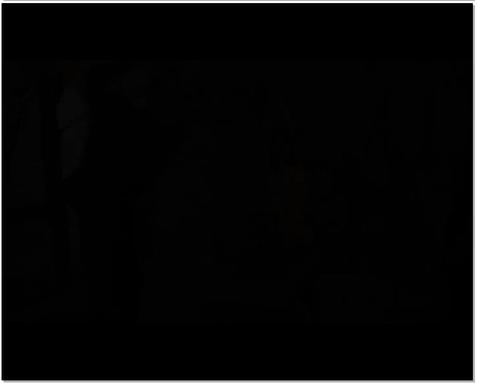 【怀旧影苑】蔷薇酷刑录