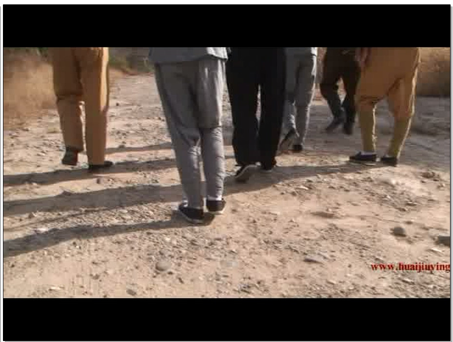 【怀旧影苑】风雨大别山 – 飘零 青竹 蔷薇