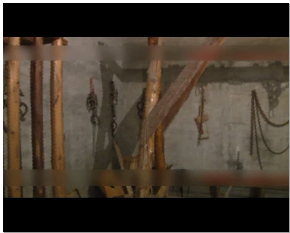 【怀旧影苑】黑狱红梅