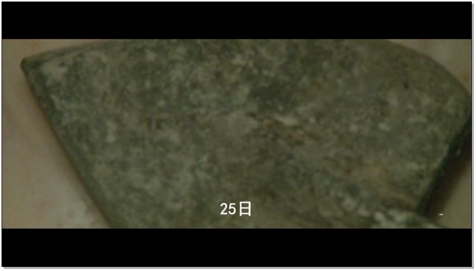 【怀旧影苑】张露萍 下