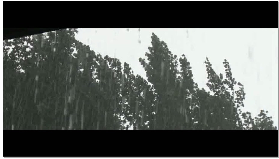 【怀旧影苑】女谍回忆录 下