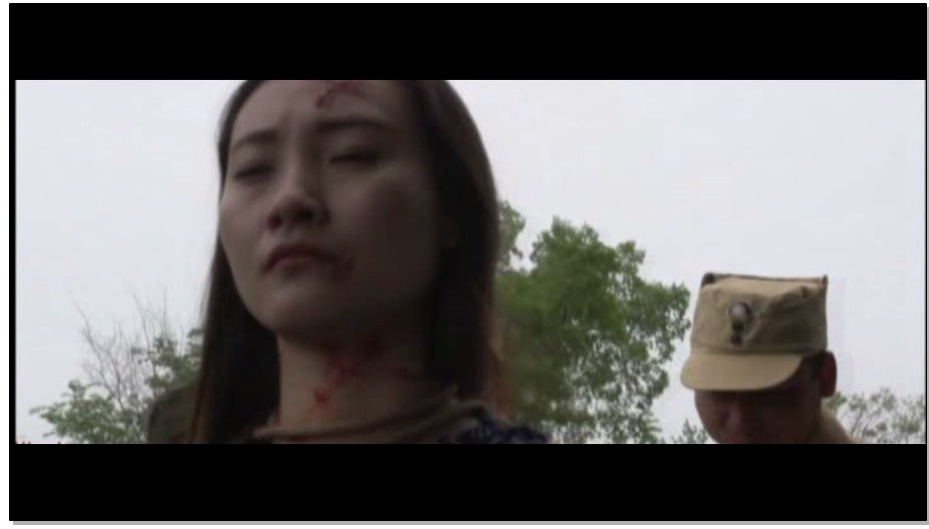 【怀旧影苑】漫山红遍 下集