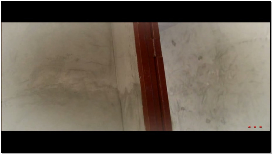 【怀旧影苑】折翅蝴蝶 上