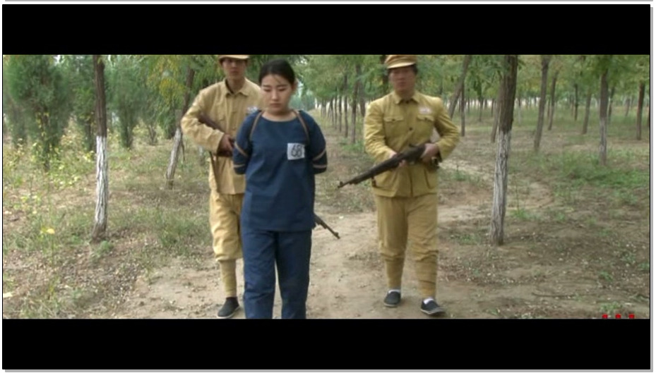 【怀旧影苑】折翅蝴蝶 下