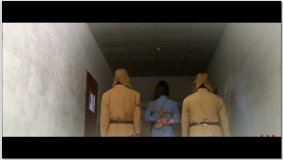 【怀旧影苑】折翅蝴蝶 下