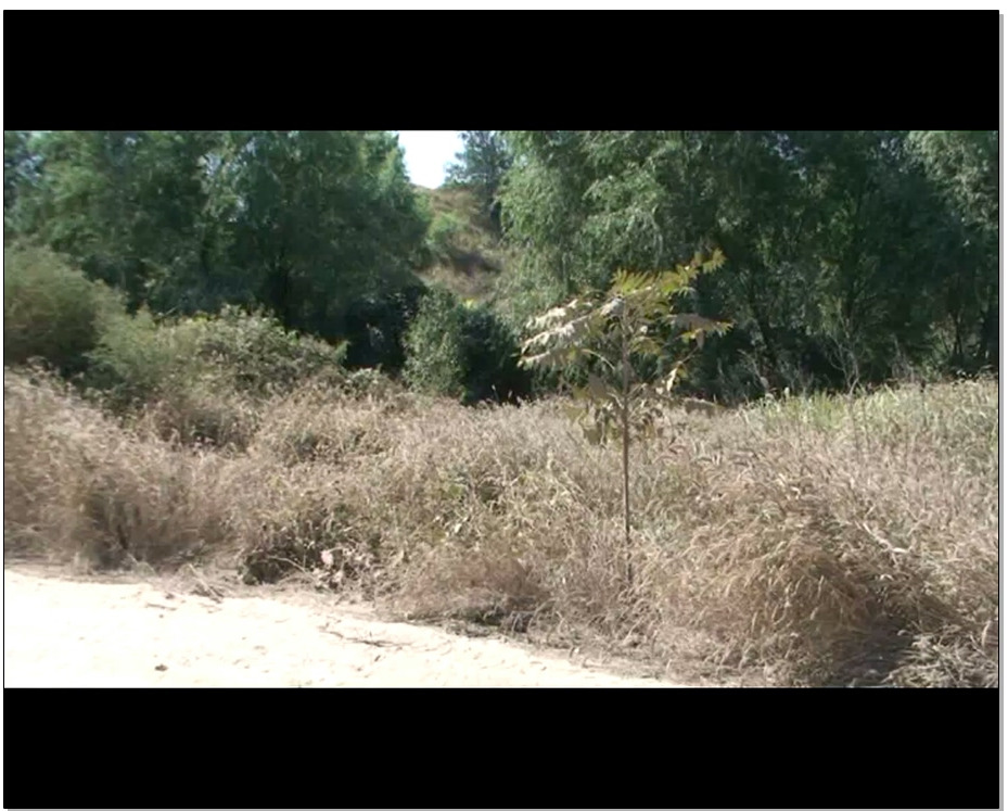 【怀旧影苑】去影