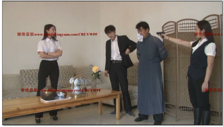 【怀旧影苑】毒蛾 上集