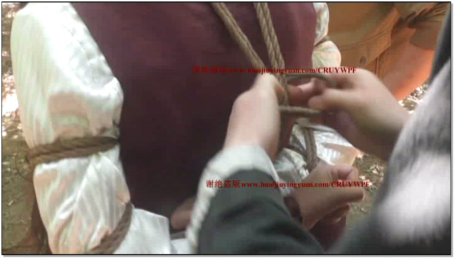 【怀旧影苑】毒蛾 上集