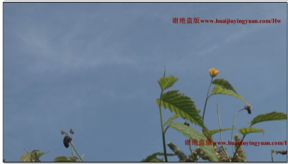 【怀旧影苑】敌工部 5