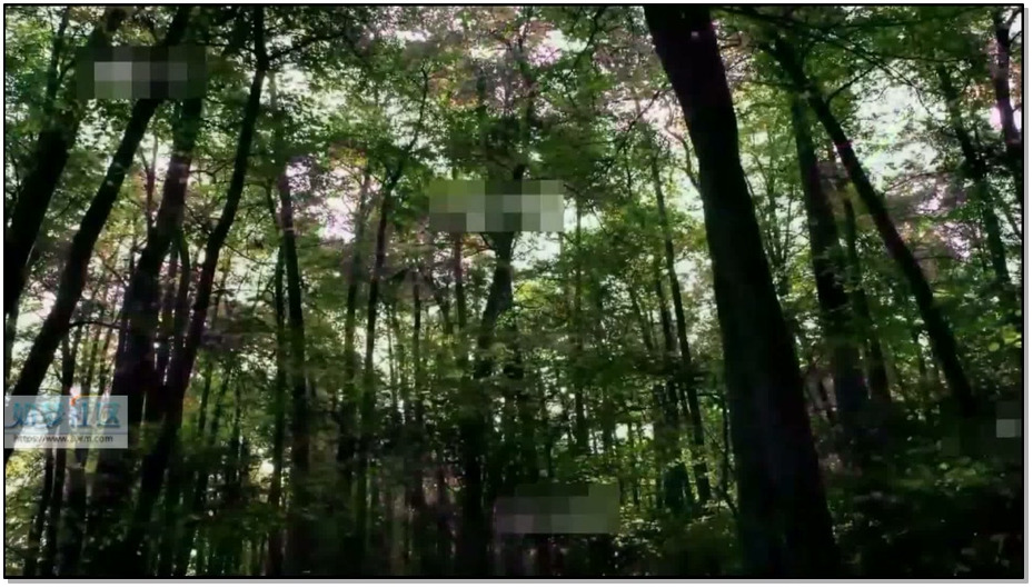 【怀旧影苑】蔷薇 黎明天使 下集 2