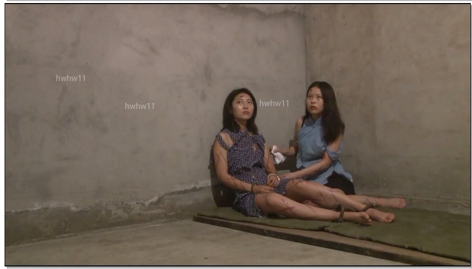 【怀旧影苑】向警予 上