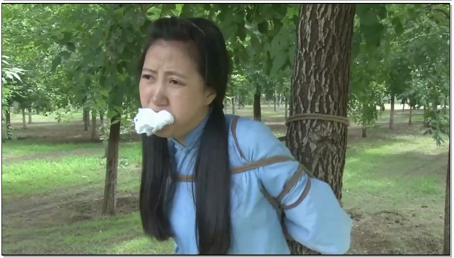 【怀旧影苑】谍圣之雏燕