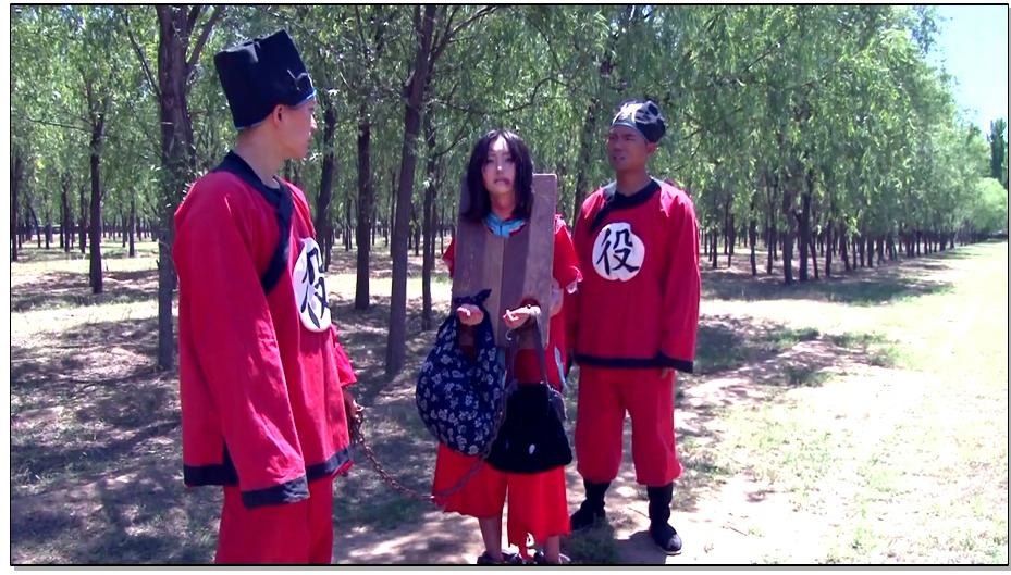 【怀旧影苑】台州奇冤录