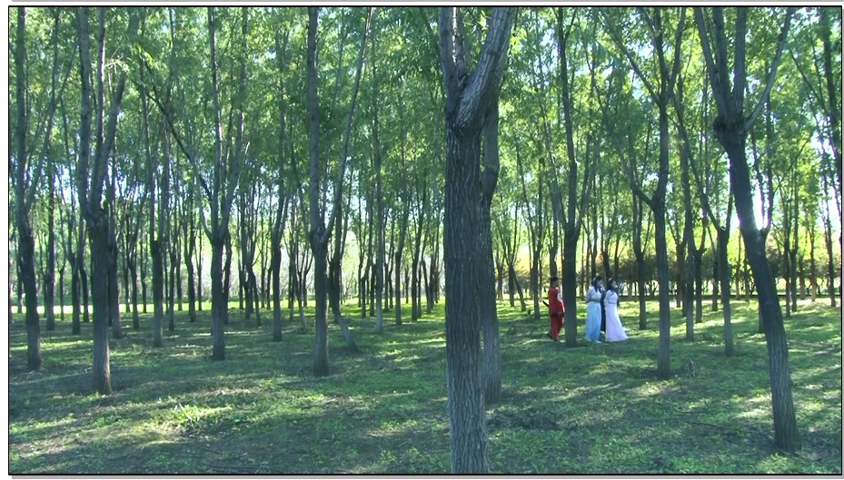 【怀旧影苑】女神捕之江南烟云 上