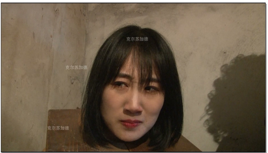 【怀旧影苑】殉难2